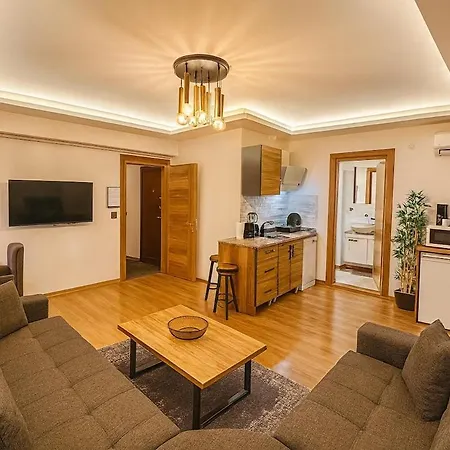 Guestport No 5 Luxury Suite, Galata Tower View, Terrace * 伊斯坦布尔